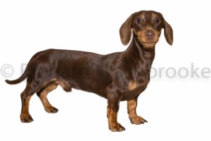 07Sep2014-Bailey-001