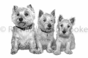 07Sep2014-Erica-Ruby-Phoebe-002