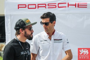 Fernando Alonso meets Mark Webber - 6 Hours of Bahrain at Bahrain International Circuit (BIC) - Sakhir - Kingdom of Bahrain