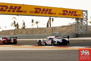 Anthony Davidson (GBR) / Sebastien Buemi (CHE) / Car #8 LMP1 Toyota Racing (JPN) Toyota TS 040 - Hybrid  - 6 Hours of Bahrain at Bahrain International Circuit (BIC) - Sakhir - Kingdom of Bahrain
