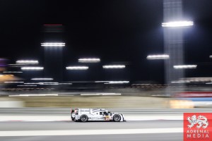 Romain Dumas (FRA) / Neel Jani (CHE) / Marc Lieb (DEU) / Car #14 LMP1 Porsche Team (DEU) Porsche 919 Hybrid  - 6 Hours of Bahrain at Bahrain International Circuit (BIC) - Sakhir - Kingdom of Bahrain