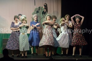 Gang Show Performance 8th January  2015