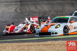 Michael Wainwright (GBR) / Adam Carroll (GBR) / Ben Barker (GBR) drivers of car #86 GULF RACING UK (GBR) Porsche 911 RSR Free Practice 1 at Circuito Estoril - Cascais - Portugal