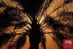 Sunset 6 - 6 Hours of Bahrain at Bahrain International Circuit (BIC) - Sakhir - Kingdom of Bahrain